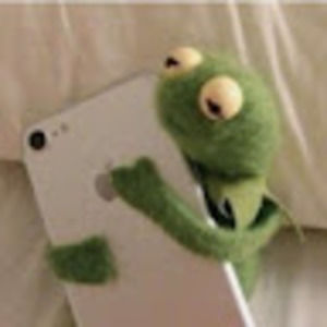 Meet your Posher, Luna